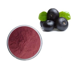 도매 수용성 아사이 베리 파우더 분무 건조 아사이 베리 파우더 프리미엄 항산화 슈퍼푸드 - Product Image 2