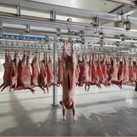Ligne d'abattage automatique personnalisée pour moutons et chèvres, en acier inoxydable 304, équipement d'abattoir halal PLC pour la transformation du mouton
