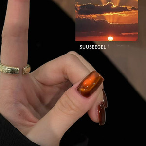 Ensemble de vernis à ongles gel UV effet œil de chat, 10 couleurs, sans odeur, gel magnétique pour ongles avec panneau d'affichage pour salon - Product Image 6