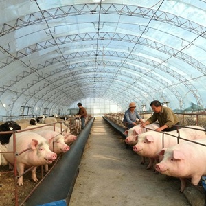 Sheep Feeding Trough and <strong>Hay</strong> <strong>Rack</strong>, Galvanized Steel Design for Group Feeding Management - Product Image 2