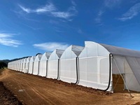 Serre agricole à toit dentelé, petite serre hydroponique en polyfilm pour la culture professionnelle des légumes