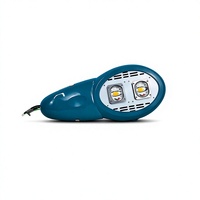 Lampe de rue LED extérieure à alimentation CA, double module, étanche IP66, pour rénovation de voirie et projets d'éclairage municipal