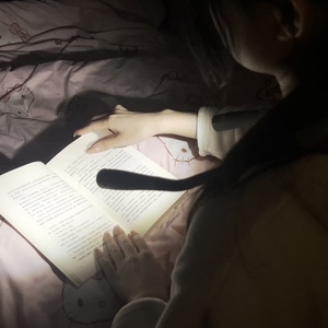 EGH Flexible Portable 800mAh Rechargeable 3 Color Dimmable Eye Caring Led Neck Reading Book Light - Product Image 1