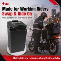Batterie LiFePO4 Ansen AS-4820 48V 20Ah 30Ah 40Ah pour Vélo Électrique de Livraison, Autonomie Totale, 3000 Cycles, Pack Sûr, Charge Rapide
