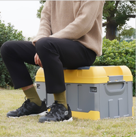 Boîte de rangement pliante avec couvercle, livraison gratuite