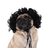 Perruques colorées tendance pour animaux de compagnie (chats et chiens) – Accessoires de Noël et d'Halloween très populaires