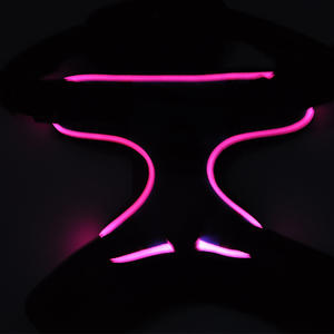 เสื้อกั๊กสุนัข RGB สะท้อนแสงชนิด C ผ้าไนล่อนปรับได้อุปกรณ์สุนัขไฟ LED ความปลอดภัยกลางแจ้งแบบชาร์จไฟได้ดีไซน์ใหม่ - Product Image 2