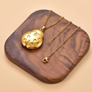 Collier avec pendentif médaillon en acier inoxydable, motif coléoptère mignon, cadre photo ouvrable, chaîne coccinelle, cadeau nostalgique pour la famille - Product Image 4