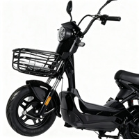 Vélo électrique Falcon 351-500W avec moteur arrière, batterie plomb-acide 48V 480Wh, cadre en acier carbone, freins à disque avant/freins à tambour arrière, 3 vitesses, roues de 14 pouces