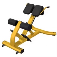 Machine d'extension dorsale de haute qualité pour musculation et entraînement sportif, équipement de fitness commercial et domestique avec garantie