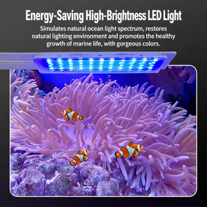 Filtre arrière JSD pour <span class=keywords><strong>aquarium</strong></span> d'eau salée, <span class=keywords><strong>aquarium</strong></span> en verre ultra-clair pour poissons marins avec écumeur de protéines, éclairage LED, pompe submersible silencieuse - Product Image 2