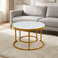 Table basse ronde avec structure en acier inoxydable et plateau en MDF, design moderne pour salon et chambre, meubles de maison