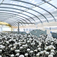 Serre solaire passive, serre tunnel, kit de serre à simple portée pour la culture de champignons