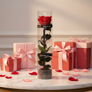 ดอกกุหลาบอบแห้งขนาด 8*8*30 ซม. ในกล่องของขวัญ PVC ดอกกุหลาบคงสภาพตลอดกาล ของขวัญวันวาเลนไทน์ - Product Image 1