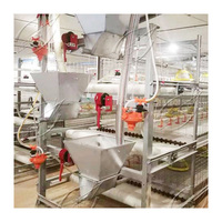 Cages à oiseaux et animaux de grande taille en acier galvanisé à chaud de haute qualité