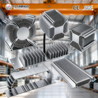 Dissipateur thermique de 100 mm, dissipateur thermique personnalisé, dissipateur thermique en aluminium, profil d'extrusion, finition anodisée et peinture poudrée, usinage CNC, service de fournisseur