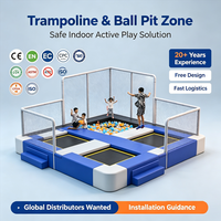 Équipement de piscine à balles commerciale intérieure, thème océan, toboggans en plastique, certifié CE, personnalisable, sûr, durable, aire de jeux intérieure clé en main