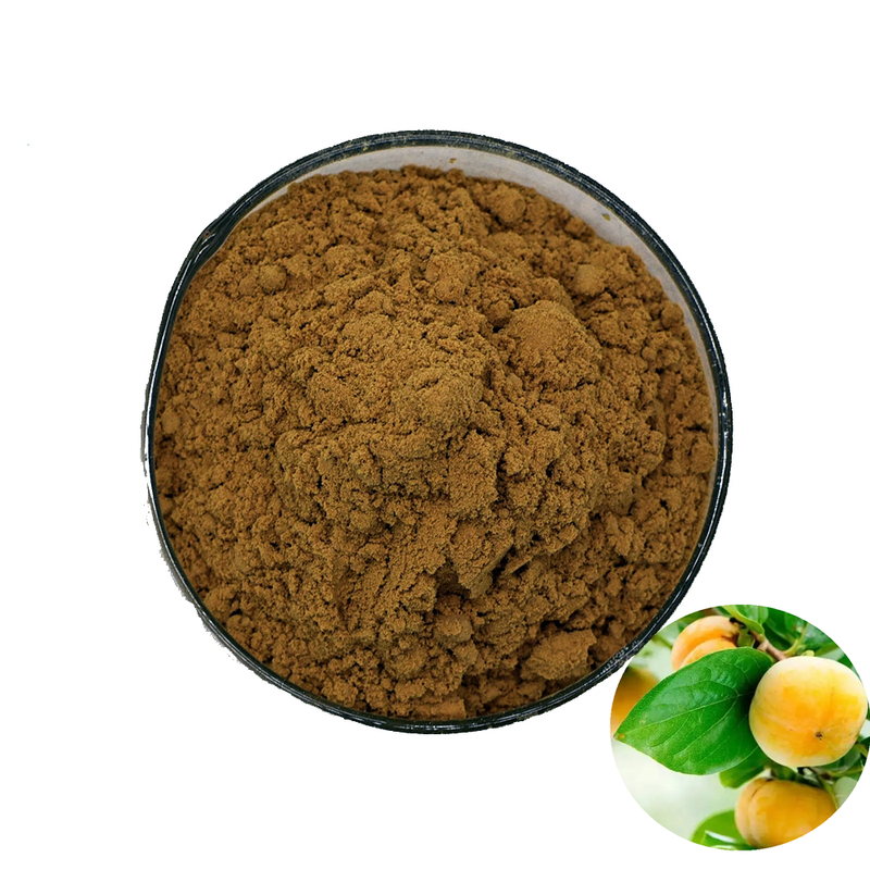 Cosmetic Food Grade Persimmon Extract Tannic