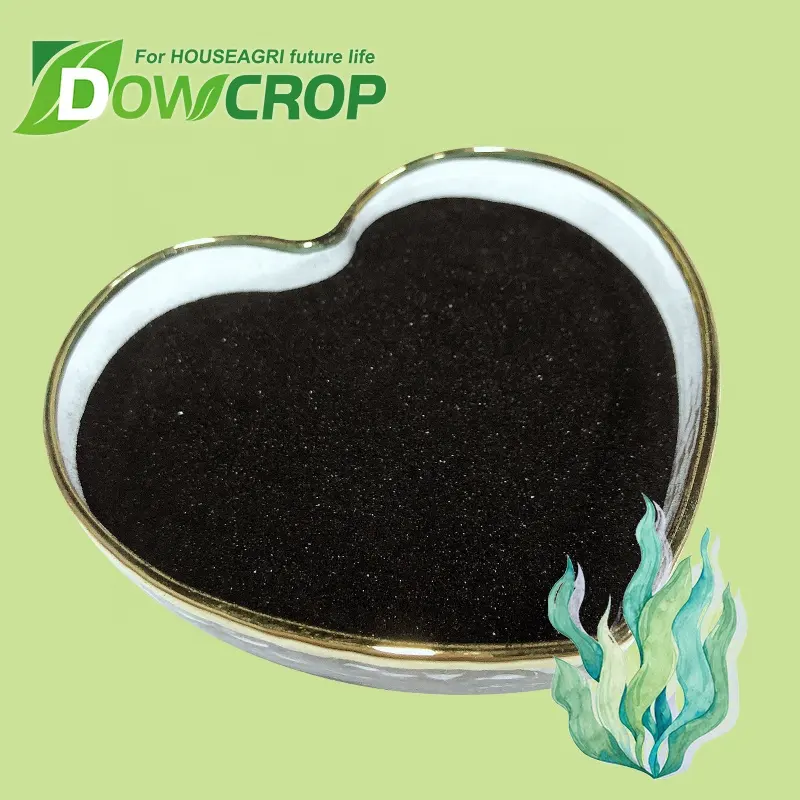 DOWCROP Bán Nóng Nước Hòa Tan Rong Biển Chiết Xuất Bột Với Phân Hữu Cơ Axit HUMIC Để Bán