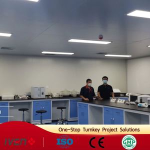 Maßgeschneiderte Komplettlösung für IV-Flüssigkeitsproduktionslinien/Schlüsselfertiges Projekt für Krankenhausgeeignete Salzlake-Softbag- und Flaschenabfüllmaschinen - Product Image 6