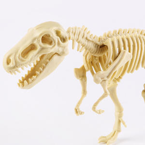 Kit de squelette d'assemblage de bricolage pour enfants-petit <span class=keywords><strong>dinosaure</strong></span> artisanal pour la simulation d'artisanat éducatif du collège élémentaire - Product Image 1