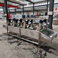 Variabele frequentie transportband lucht droger verstelbare snelheid stabiele droging fruit groente machine commercieel 304 roestvrij staal