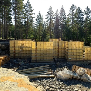 Paneles de Encofrado de Plástico de Alta Resistencia Ecológicos MAUP, Tamaño Ajustable, Diseño Reutilizable para la Construcción de Edificios de Oficinas - Product Image 1
