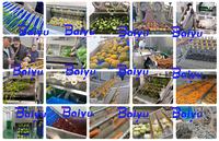 Baiyu Ui-, Knoflook- en Fruitverwerkingsmachine Poeder Sorteer- en Productielijn met Pomp, Motor & Lager Kerncomponenten