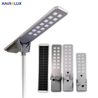 Nuevos Productos Hairolux, Farola Solar LED Integrada de 30W 40W 50W 60W 80W para Exteriores, Impermeable IP65