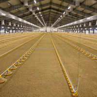 Équipement de système de plancher pour poulets de chair pour l'élevage de volailles