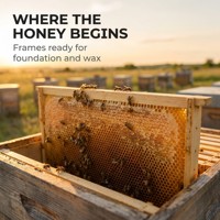 10 Langstroth-Bienenstockrahmen, Holzrahmen für die Honigernte in der Imkerei