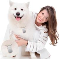 Placa de Identificación de Perro de Metal al por Mayor, Collar Plateado, Placa de Identificación de Perro de Metal Personalizada con Nombre en Blanco para Grabar