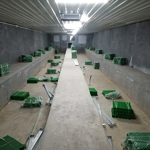 Cage de mise bas de haute qualité à prix d'usine – Équipement d'élevage porcin pour optimiser le bien-être animal et l'efficacité de la ferme - Product Image 5