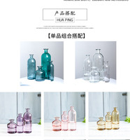 Vase en verre transparent de couleur Offre Spéciale vase hydroponique en forme de petite bouche pour arrangement de fleurs vase pour ventre