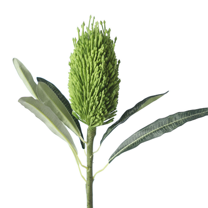 สีเขียว