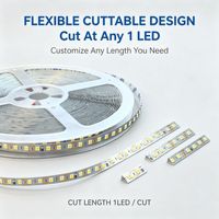 Bande LED SMD 2835 24V 8MM 120 LED/M 20M de long, sans chute de tension, 90CRI, sans scintillement, coupable toutes les 1 LED