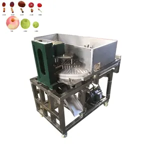 Turntable Type Industrial Black Jujube Seeds Pitter/Palm Dates Kernel Removing machine/Red Dates Pitting Machine