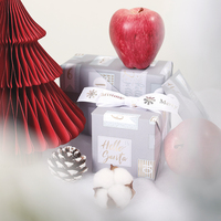 Papier d'emballage cadeau de Noël haut de gamme recyclable 80 g/m², motif festif de Noël, 50x70 cm, kraft blanc