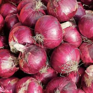 Cebollas Rojas más vendidas Verduras frescas y envasadas para exportación Cebollas Rojas frescas naturales al por mayor - Product Image 1