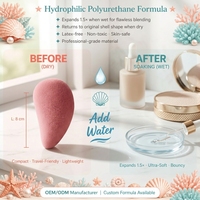 Éponge de maquillage en forme de coquille JLY pour les maquilleurs professionnels, salon, maquillage quotidien, voyage, éponge cosmétique douce pour fond de teint liquide et crème
