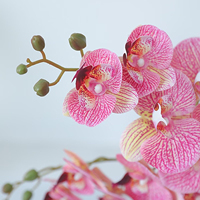Bunga Anggrek Buatan Phalaenopsis, Tanaman Sentuhan Realistis untuk Buket Pengantin, Dekorasi Pernikahan, Rumah, dan Pesta