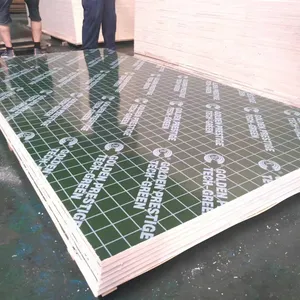 绿色防滑聚丙烯聚氯乙烯塑料15毫米18毫米绿色聚丙烯塑料涂层胶合板混凝土模板