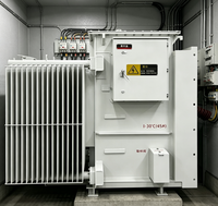 Rainbow ZGS20-GY-1250kVA Poste de transformation triphasé 35/0.4kV, type boîtier, monté sur socle, pour milieu désertique, à isolation thermique personnalisée, étanche et immergé dans l'huile
