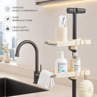 Organisateur de Robinet Multifonctionnel Disponible, Gain de Place, Accessoire d'Évier de Cuisine
