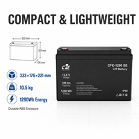Batterie LiFePO4 LFP CFE-1280 SE 12,8V 100Ah avec BMS IP65, 3000 cycles, pour onduleur FoxESS, systèmes solaires hors réseau