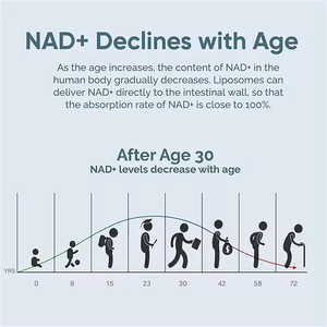 Nad + 120 Capsules de haute qualité Le supplément antioxydant sans ogm de marque privée améliore la clarté de la mise au point Les suppléments de nad - Product Image 5