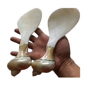 Cuillère de luxe 99GD jetable moderne et écologique en nacre du Vietnam pour le service du caviar et la présentation des fruits de mer - Product Image 1