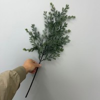 Fleurs séchées, feuilles de sapin, verdure, feuillage d'épicéa, branches décoratives pour aménagement paysager, aiguilles de pin pour décors de musée