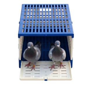 Cage à oiseaux pliable multi-usages, transporteur portable pour pigeons, pour l'élevage, le transport et la course - Product Image 2