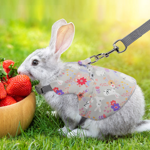 Pet <strong>Harness</strong> and Leash for <strong>Rabbit</strong> Bunny Ferret Cat Outdoor Small Pets Supplies <strong>Rabbit</strong> <strong>Harness</strong> and Clothes Accessories - Product Image 3